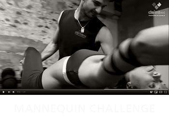 Link zu Mannequin Challenge Video