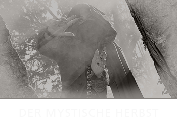 Link zu Mystische Herbst Foto Shooting